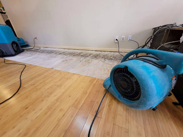 Professional Basement Flood Cleanup technician working in Laurel, DE